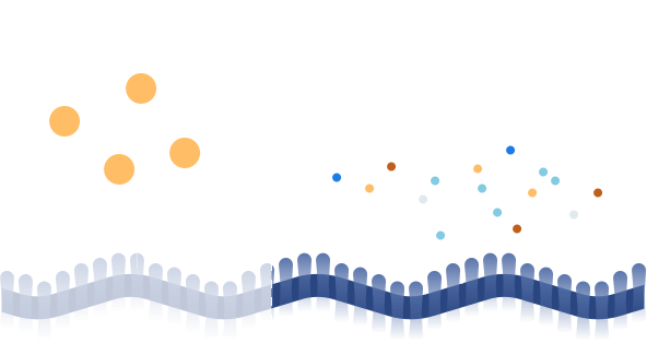 Полезное воздействие Детралекса