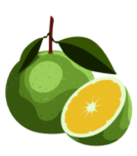 Международный стандарт качества