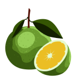 Незрелый апельсин