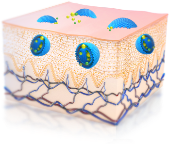 Липосомальная система